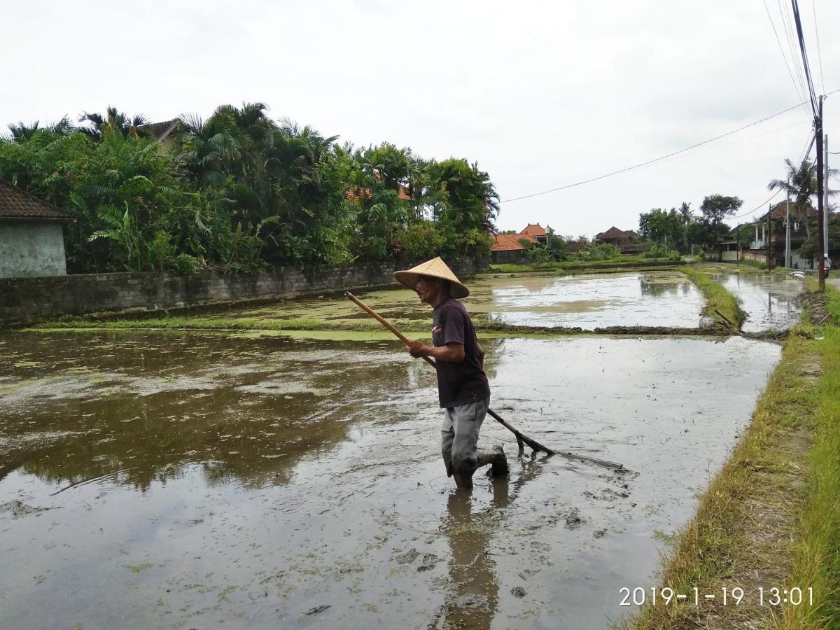Bhuana Alit 2 Ubud المظهر الخارجي الصورة