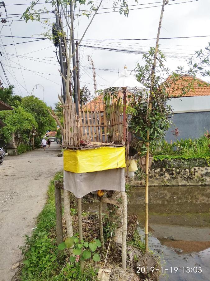 Bhuana Alit 2 Ubud المظهر الخارجي الصورة