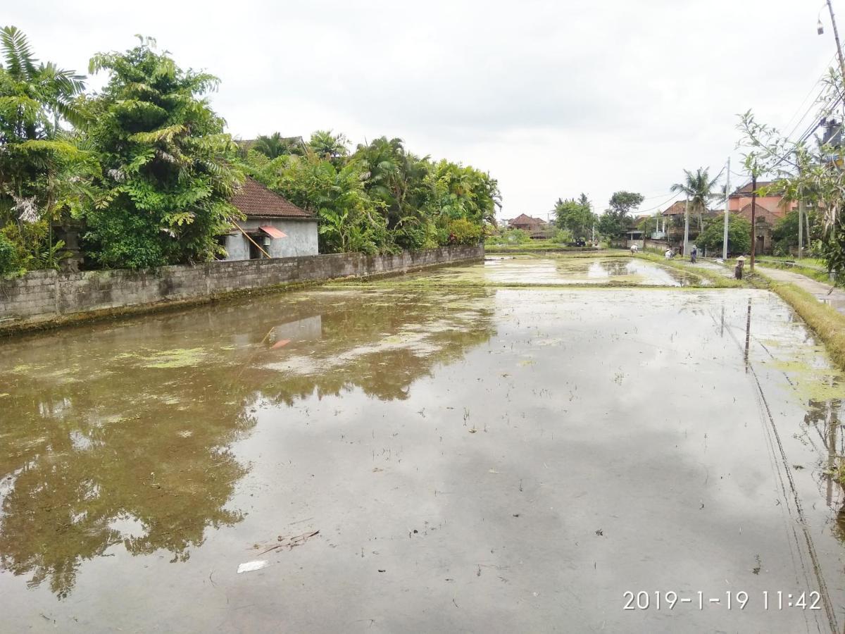 Bhuana Alit 2 Ubud المظهر الخارجي الصورة