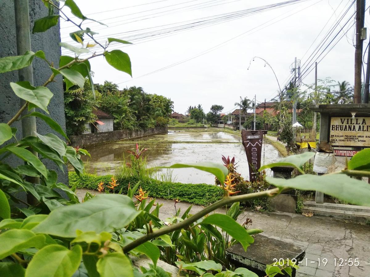 Bhuana Alit 2 Ubud المظهر الخارجي الصورة