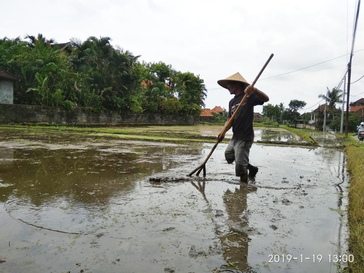 Bhuana Alit 2 Ubud المظهر الخارجي الصورة