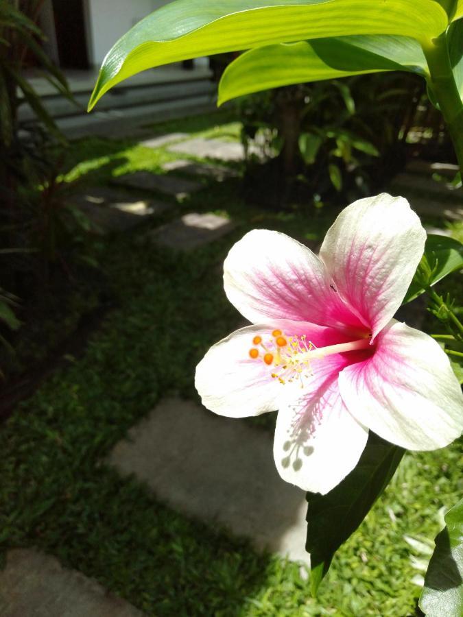 Bhuana Alit 2 Ubud المظهر الخارجي الصورة